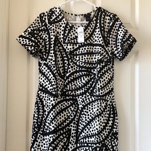 NEW ANN TAYLOR DRESS (M)